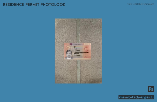 Beispielansicht der Fotoansicht für die belgische Daueraufenthaltskarte
